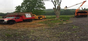 Photos by Black Lab Tree Service #1