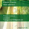 Green Vision logo