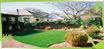 Artificial Turf