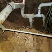 Elephant plumbing