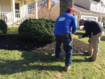Photos by Orellana Lawn & Tree Services #1