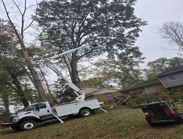Photos by Rg Tree Services #15