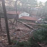 Photos by No Heights Tree Service #1