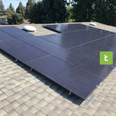 Treeium Energy Inc