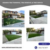Andrew Tree Trimming, Tree Removal & Tree Service
