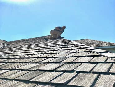 Photos by A to Z Construction & Roofing Inc #1