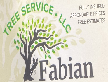 Photos by Fabian Tree Service LLC #1 Trees make the land livable. And yet, sometimes, they need removal, pruning, and stump grinding to clear the area 