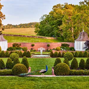 Pride Land Landscaping