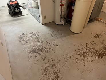 Photos by Sonshine Coatings #1
