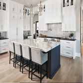 Photos by Orlando Kitchen Remodeling Pros #1