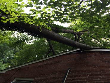 Photo(s) from Bonilla Tree Service Inc