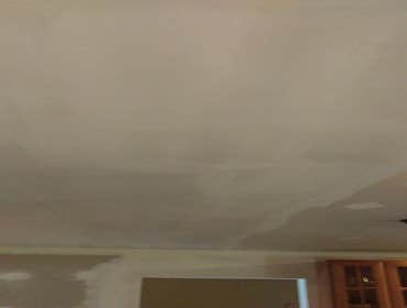 ceiling repairs