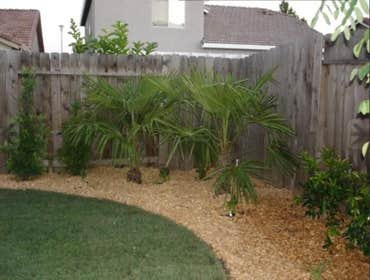 Photos from Ben Ruiz Tree And Landscaping Contractor