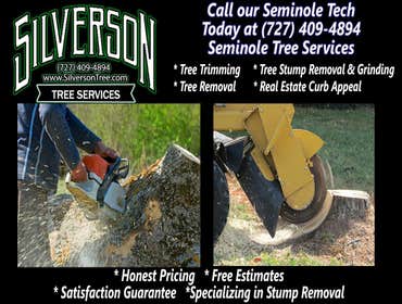 Photos by Silverson Tree Services #1