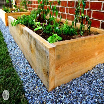 Photos from Greenroots Landscaping