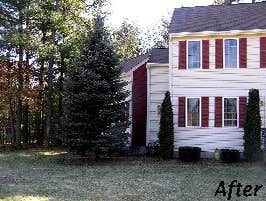 Photos