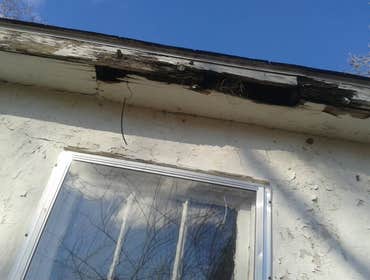 Eaves before