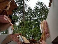 Photos by Elite Tree Care #1
