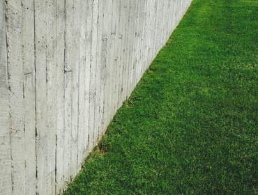 Photos by Austin Lawn Painters #1
