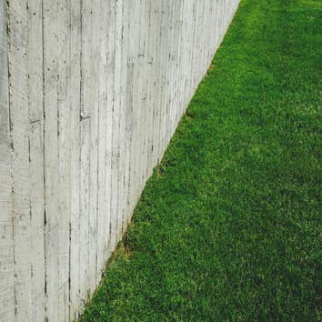 Photos by Austin Lawn Painters #1