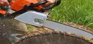 Photos by Twins Tree Service #1