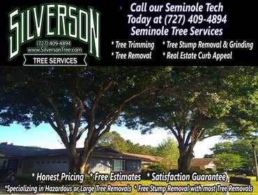 Photos by Silverson Tree Services #1