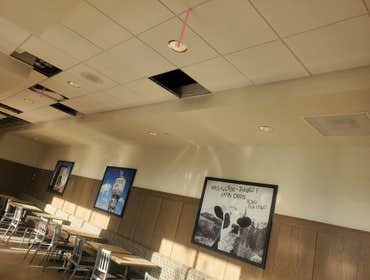Photos by Seattle Quality Painting #1