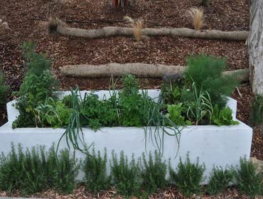 Landscaping