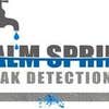 Palm Springs Leak Detection Inc logo