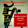 the Pro Painting Company logo