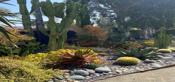 Chicweed Design & Landscape, LLC Dba Cw Design Landscaping