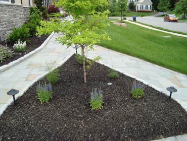 Landscape Lighting - Residential Project Home owner wanted low-voltage lighting leading up to his front entrance.