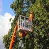 Green River Tree Service logo