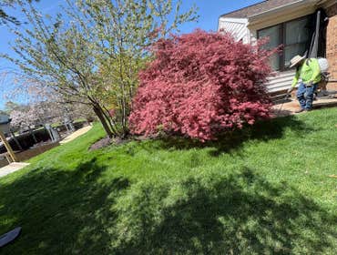 Photos by Beauty Meister Landscaping LLC #2