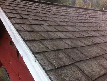 Photos by Kitsap Moss Removal, Llc #1