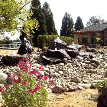 William's Water Feature
