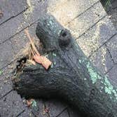 Storm Damage