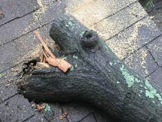 Storm Damage