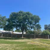 Photos by Discovery Tree Care, Inc #3