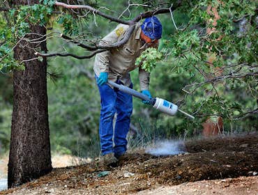 Photos by Pest Control Pros #1