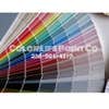 Color Life Painting Company logo