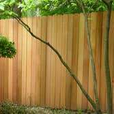 Wood Fences