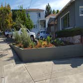 El Cerrito Front yard demo, Design, Build, Irrigation