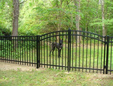 Metal Fence