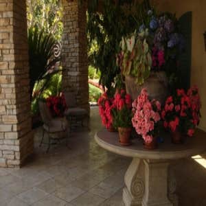 Landscape Design A beautiful well-kept and well-designed landscape not only adds value to your home and your neighborhood, but also increases your...