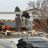 Advanced Contracting Tree Service