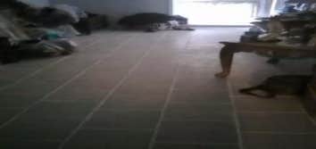 ermas ryder remodeling prohect tulsa Ok. remodeling kichen
from brick walk from accident.