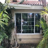 Photos by Shadwell Windows & Doors #1