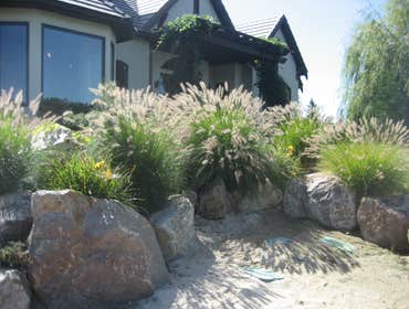 Photos from Natural Lawns and Landscape