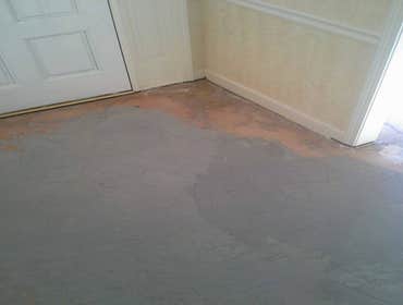 Photos from Professional Installed Wood Floors
